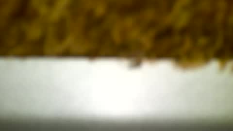 Snapshot of bagalan chatting on December 2024 04:23:02 AM Carlos online show from December 2024 04:23:02 AM