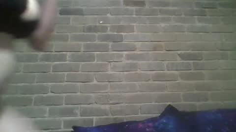 Chaterlain online show from February 2025 10:23:02 AM