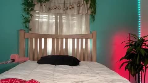 My name  BailiJade   online show from September 2025 03:44:01 PM