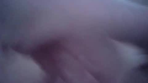 sexxycat online show from February 2026 12:09:02 PM