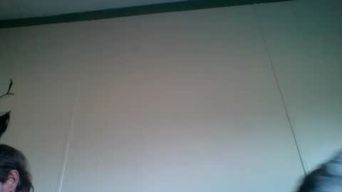 bamacpl80 online show from February 2025 01:07:01 PM