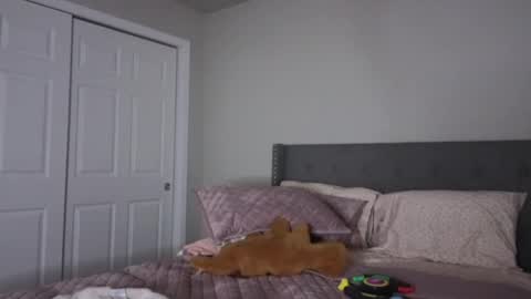 Snapshot of bambifarrina chatting on October 2025 01:56:01 AM bambifarrina online show from October 2025 01:56:01 AM