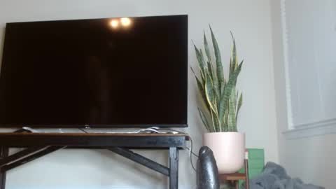 bambirachel1 online show from June 2026 11:02:01 PM