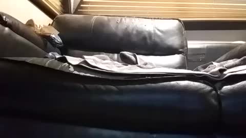 baobabtree8 online show from September 2025 12:53:01 PM