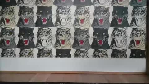 Bas online show from March 2025 04:07:02 PM