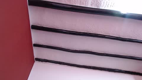 bayonette_black online show from January 2025 11:45:01 AM