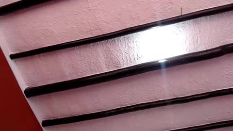 bayonette_black online show from March 2025 11:40:02 AM