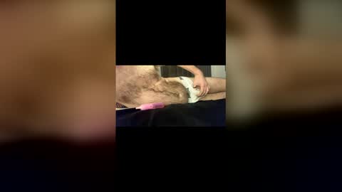 Baz online show from January 2026 11:52:02 PM