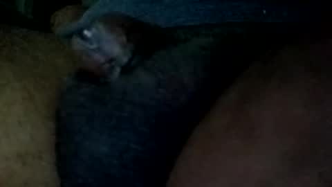 bcfalcon69 online show from May 2026 04:53:01 AM