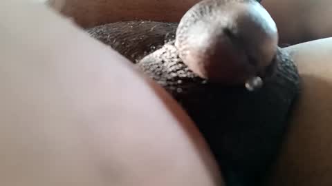 bcfalcon69 online show from June 2026 12:42:02 PM