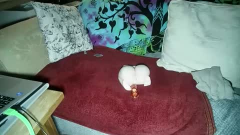 mikiforfun online show from November 2025 11:26:02 PM