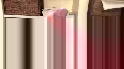 Snapshot of beachguy469 chatting on November 2025 04:44:01 PM BeachGuy online show from November 2025 04:44:01 PM