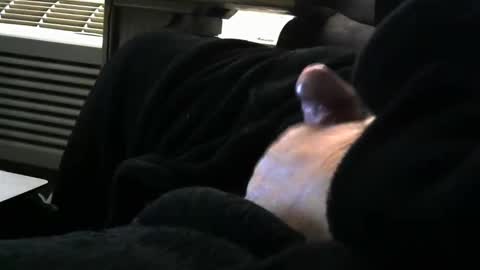 bear4146 online show from March 2026 01:00:01 PM