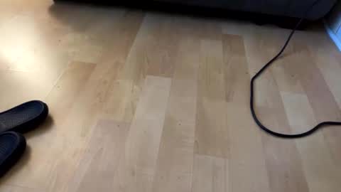 beard online show from December 2024 07:54:02 AM