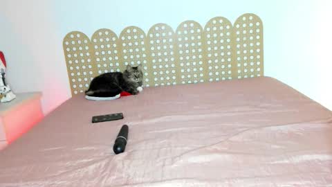 Beautyraf online show from December 2025 10:49:02 PM