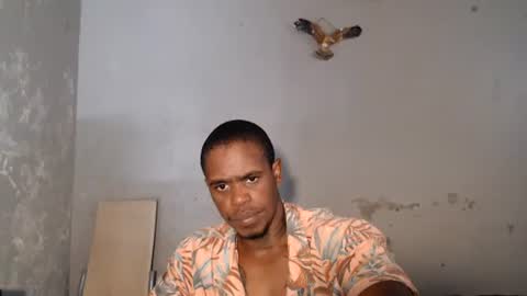 Frank online show from August 2026 08:50:01 AM