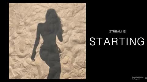 Bela -  - Next stream November 28th online show from February 2026 07:32:02 PM