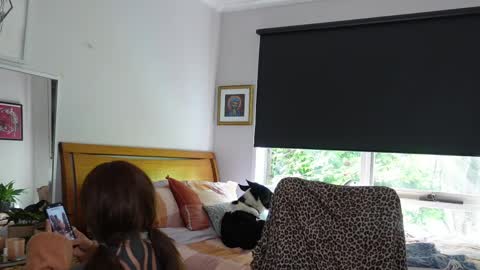 Alt Aussie online show from April 2026 03:23:02 AM