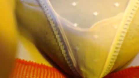 Snapshot of bellafoxfuck chatting on May 2026 05:21:02 PM bellafox online show from May 2026 05:21:02 PM