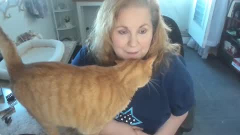 Snapshot of bellavoca chatting on April 2026 06:01:02 PM Bellavoca online show from April 2026 06:01:02 PM