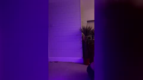 bellaxlauren online show from February 2026 10:48:02 PM