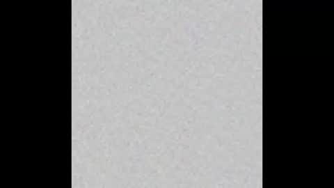 Bella online show from February 2026 11:16:01 AM