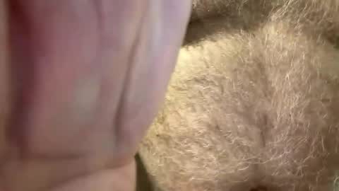 benz10001 online show from April 2026 03:01:01 AM