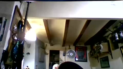 bernichaos77 online show from March 2026 02:16:02 AM