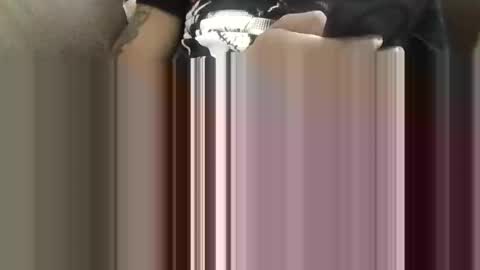 Snapshot of bertdollaz757 chatting on May 2026 04:04:01 PM ToxicPipe757 online show from May 2026 04:04:01 PM