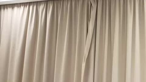 Snapshot of best_ass2000 chatting on May 2026 06:02:02 PM best_ass2000 online show from May 2026 06:02:02 PM