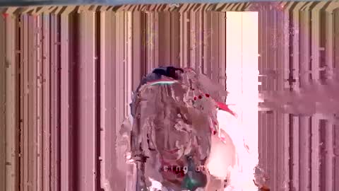 Elisabeth online show from December 2024 05:55:02 PM