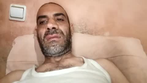 Cock arabic Authentic online show from June 2026 08:05:02 AM