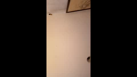 bgiamba21 online show from January 2026 06:51:02 AM