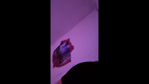 bgiamba21 online show from February 2026 10:19:02 AM