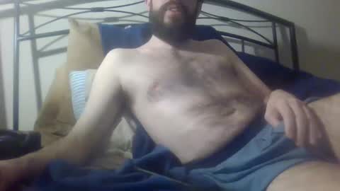 bibotguy online show from December 2024 03:58:01 AM