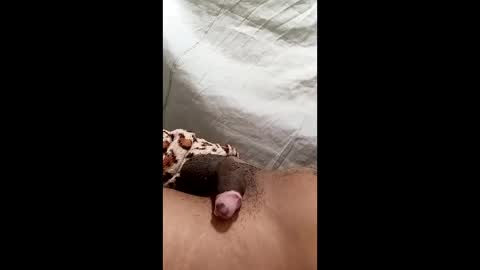 biel369737 online show from March 2026 04:36:02 AM