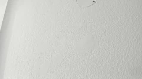   online show from March 2026 09:56:02 AM