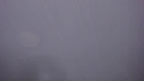   online show from April 2026 10:05:01 AM