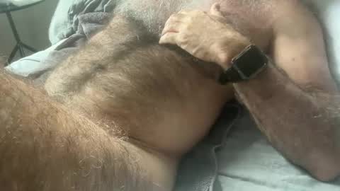 Snapshot of bigbush1 chatting on February 2025 12:49:01 AM big bush online show from February 2025 12:49:01 AM