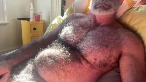 big bush online show from July 2026 02:03:02 AM
