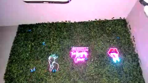 bigbuttsarena online show from April 2026 06:27:01 AM