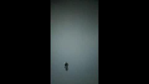 bigchorizo18 online show from March 2026 05:00:02 AM