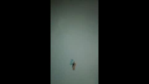 bigchorizo18 online show from March 2026 10:31:01 AM