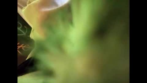 bigdickguy69690 online show from February 2025 01:11:02 AM