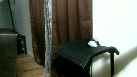 Snapshot of bigdickjimmywill chatting on May 2026 12:01:02 PM CAJEinc online show from May 2026 12:01:02 PM