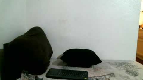 Snapshot of bigdickjimmywill chatting on July 2026 08:31:02 AM CAJEinc online show from July 2026 08:31:02 AM