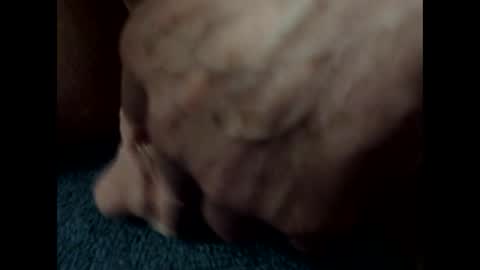 bigdipper58 online show from February 2025 01:41:01 AM