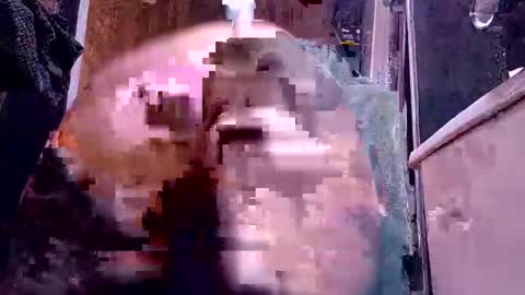 bigdog9thick online show from December 2024 10:05:02 AM