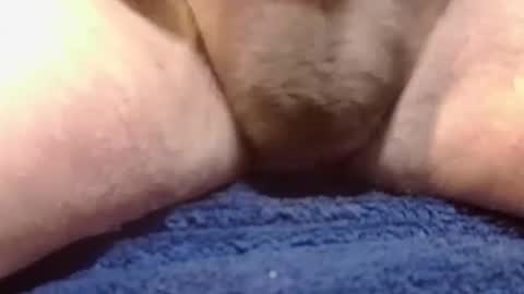 BigDog online show from February 2025 02:26:02 PM