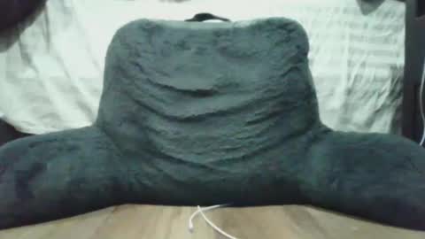 Snapshot of bigdyllpickle chatting on January 2026 02:47:01 AM bigdyllpickle online show from January 2026 02:47:01 AM